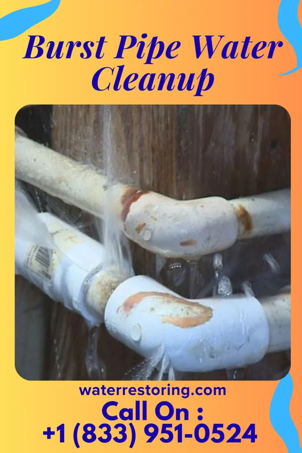 Burst Pipe Water Cleanup in Noblesville, IN