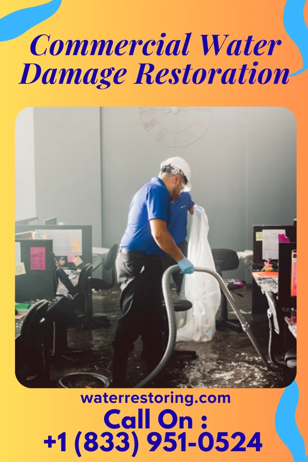 Commercial Water Damage Restoration in Noblesville, IN