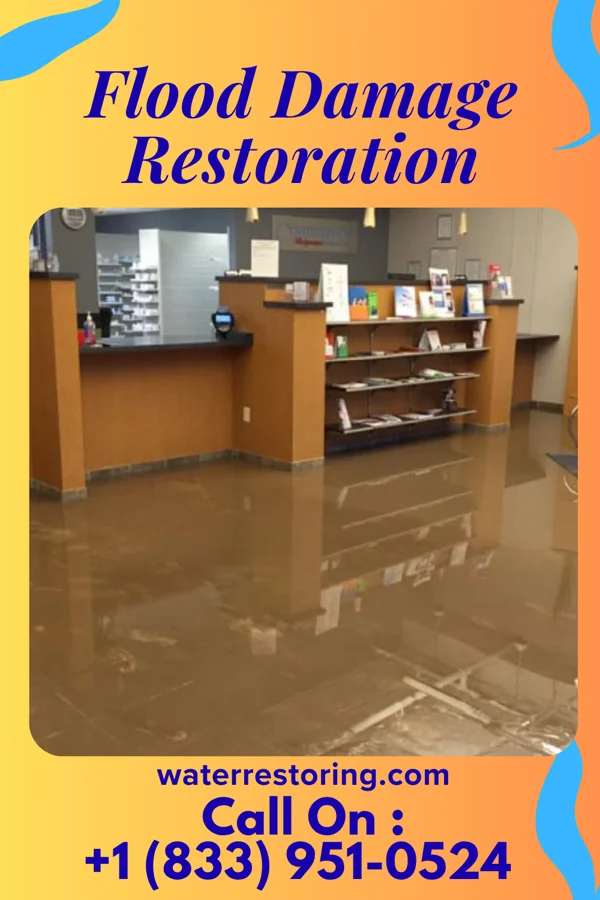 Flood Damage Restoration in Noblesville, IN