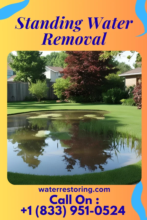 Standing Water Removal in Noblesville, IN